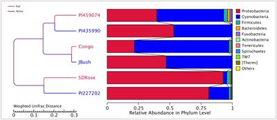 Metagenomic and Metatranscriptomic Analyses of Diverse Watermelon Cultivars Reveal the Role of Fruit Associated Microbiome in Carbohydrate Metabolism and Ripening of Mature Fruits